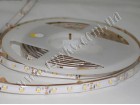 LED лента 2835/60 герметичная (IP65) premium